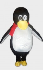 QQ Penguin for rental